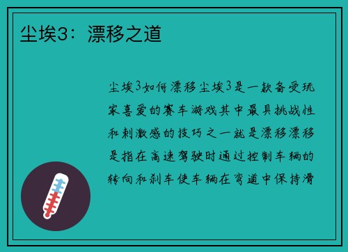 尘埃3：漂移之道