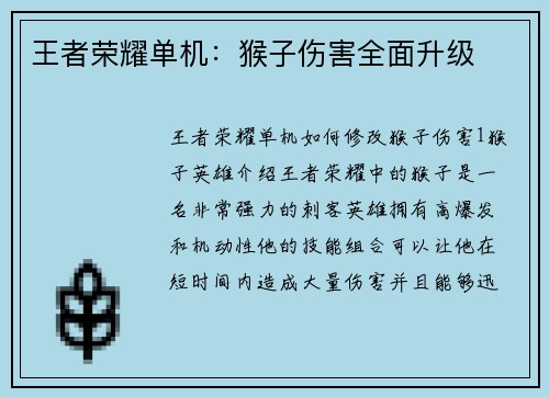 王者荣耀单机：猴子伤害全面升级
