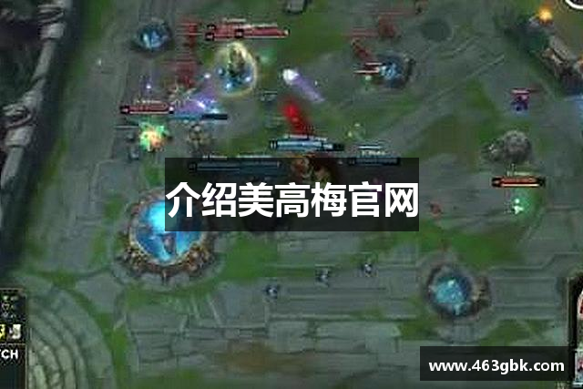 介绍美高梅官网